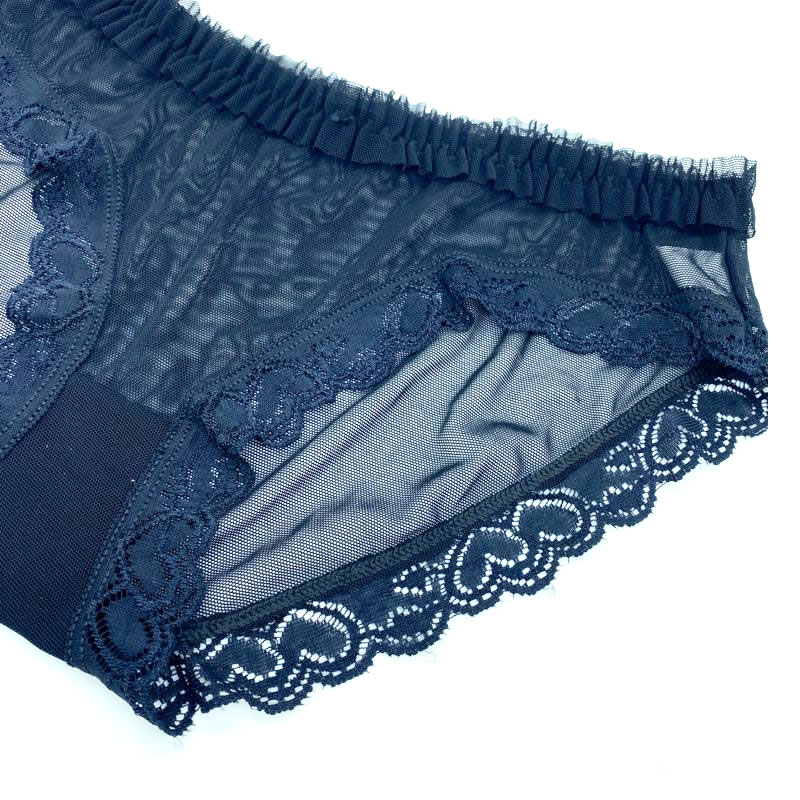 2 Pcs) Seamless Quality Lace Plus Size Panty –