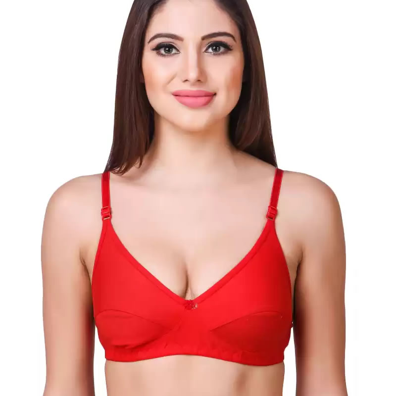 Bodybest R Form Premium Padded Bra - Pack of 3, Lingerie, Bra Free Delivery  India.